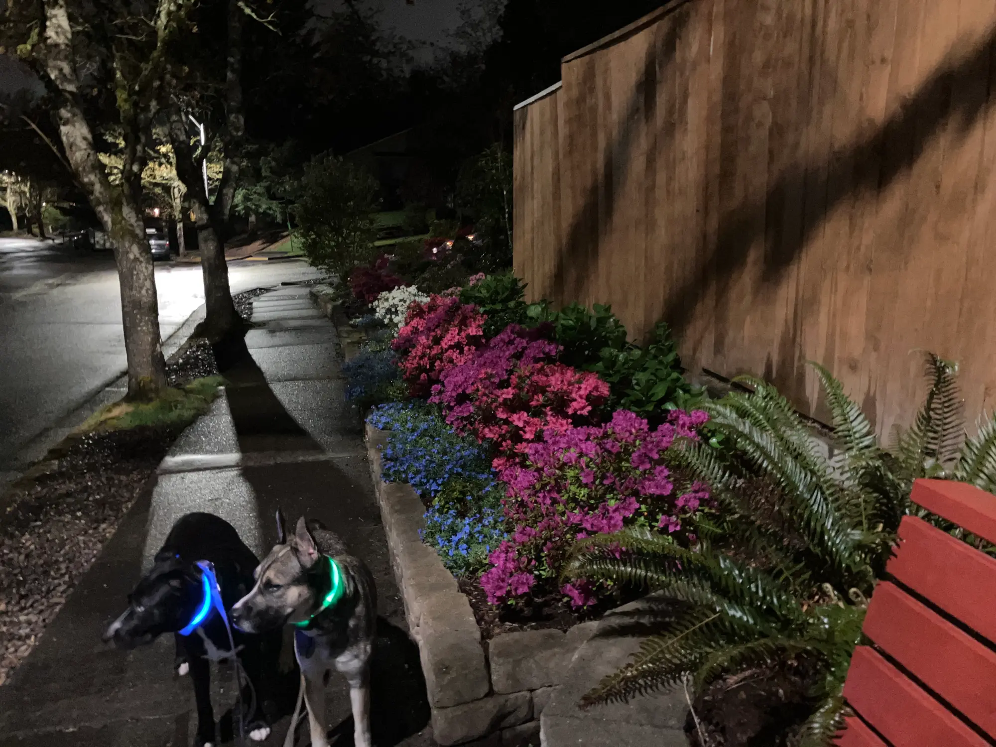 Hiteon Community Observation 14